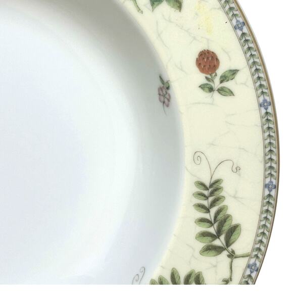 Wedgwood Vintage 1997 "Fleur" 9" Large Rim Soup/Pasta Bowls-Excellent-Set of 6 - Picture 6 of 9